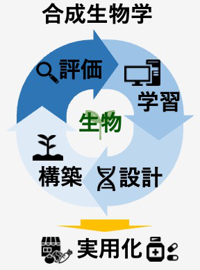 合成生物学の概略図