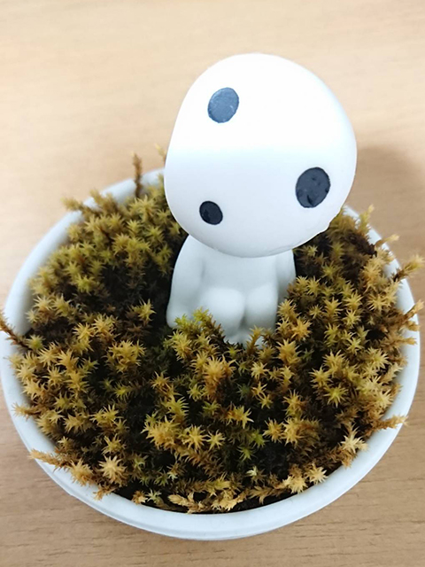 技術補佐員：中村 麻記子